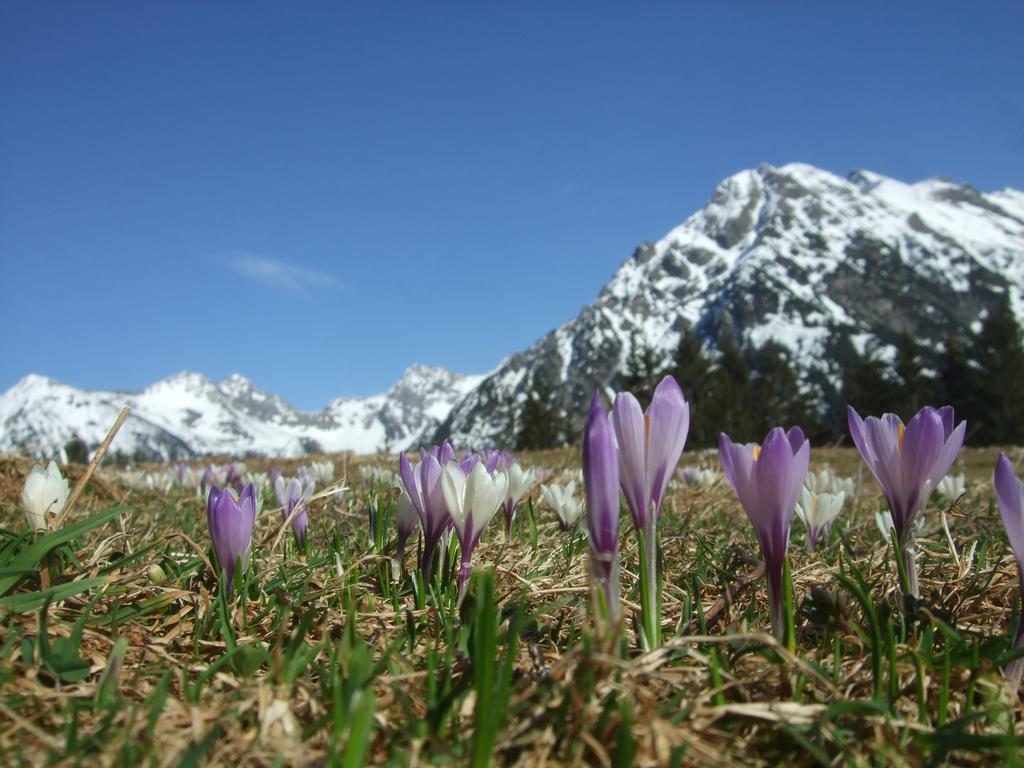 Hotel Alpensonne Riezlern Bagian luar foto